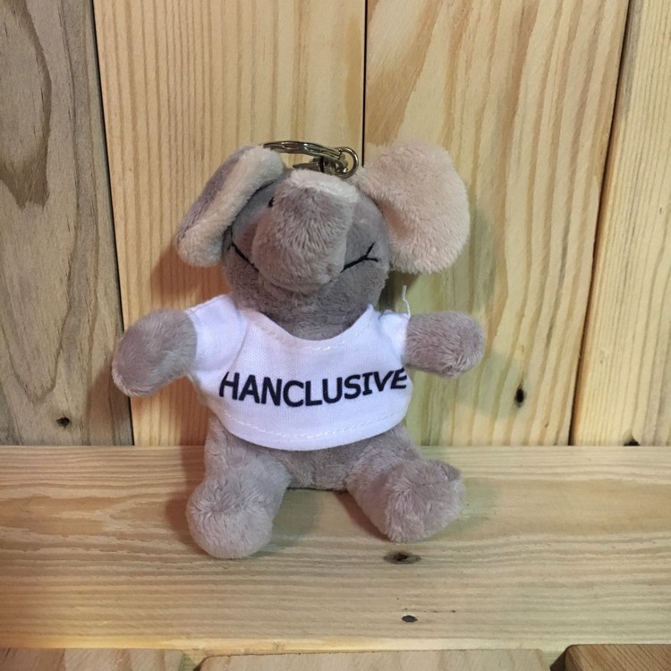 HanClusive - promotiemateriaal bedrukken - Hanne Jacobs